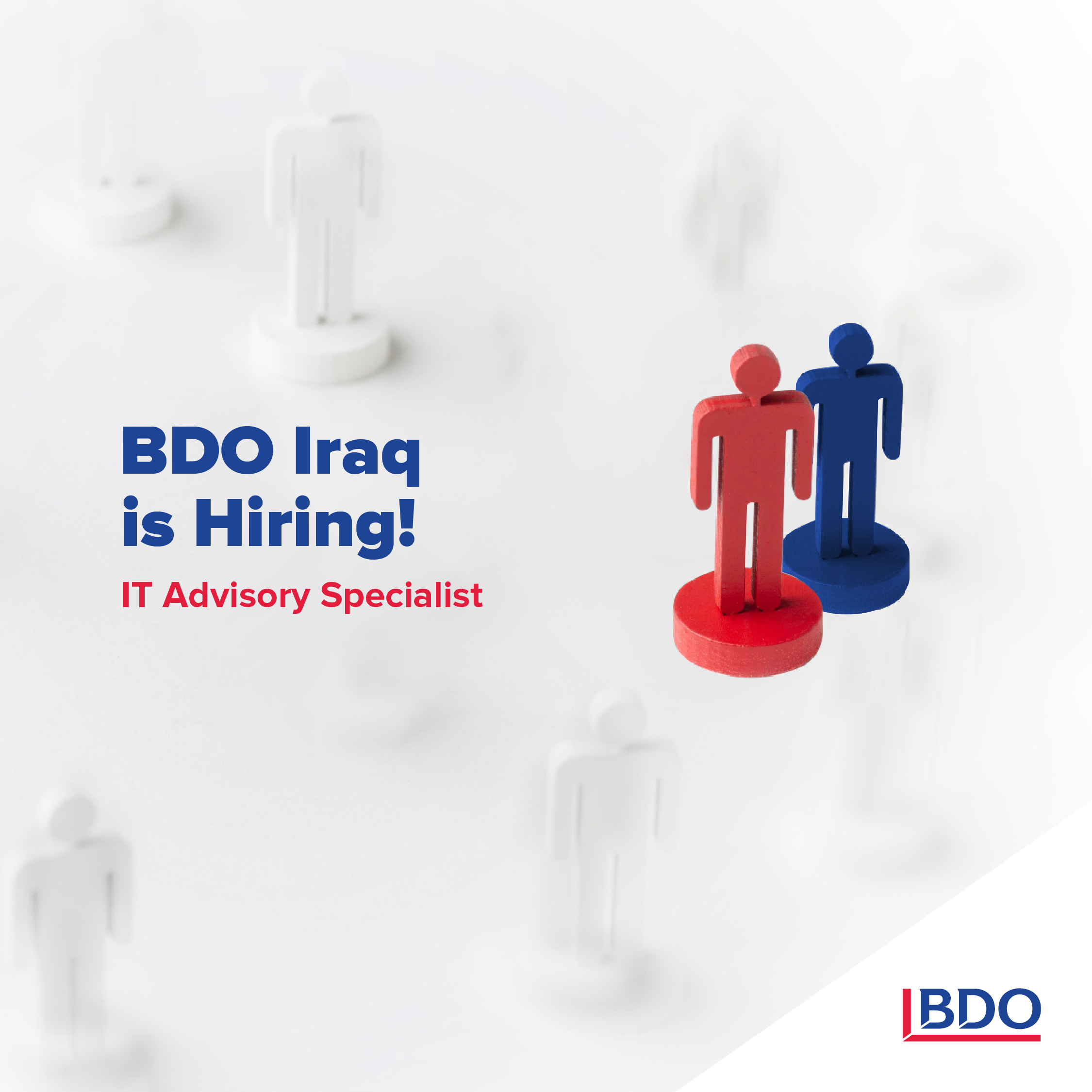 IT Advisory Specialist – BDO Iraq