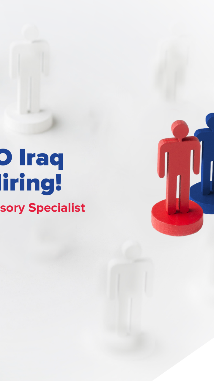 IT Advisory Specialist – BDO Iraq